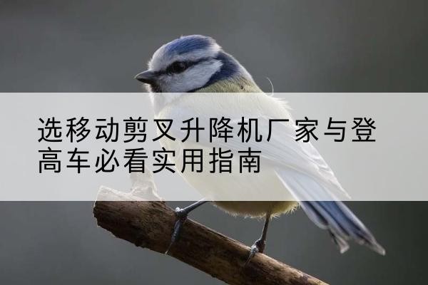 江南电动升降机厂家-选移动剪叉升降机厂家与登高车必看实用指南