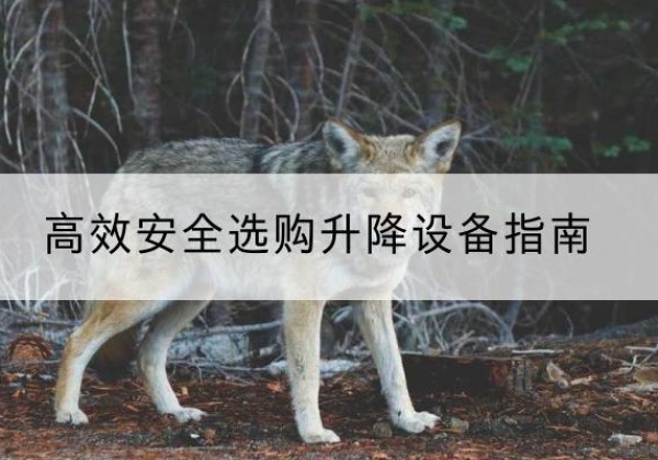 江南升降货梯厂家推荐-*安全选购升降设备指南